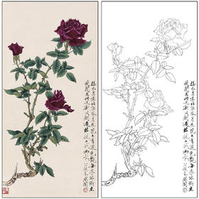 工笔画白描底稿于非闇花鸟《月季花》临摹勾线高清打印稿FA63