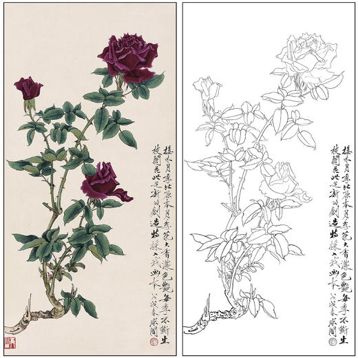 工笔画白描底稿于非闇花鸟《月季花》临摹勾线高清打印稿FA63 商品图0