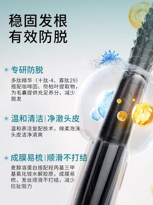 【防脱固发洗发露/精华液】持证防脱！防脱固发控油男女通用温和清洁，富含多肽精华+咖啡因精华，有效护理头皮和发丝，强健发根，减少脱发ZH 商品图7