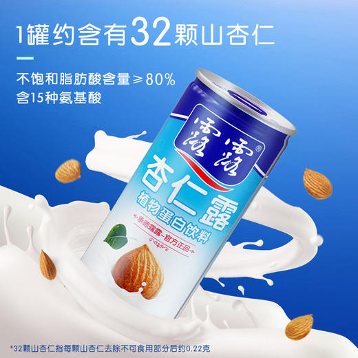 露露 杏仁露 240g/瓶 商品图3