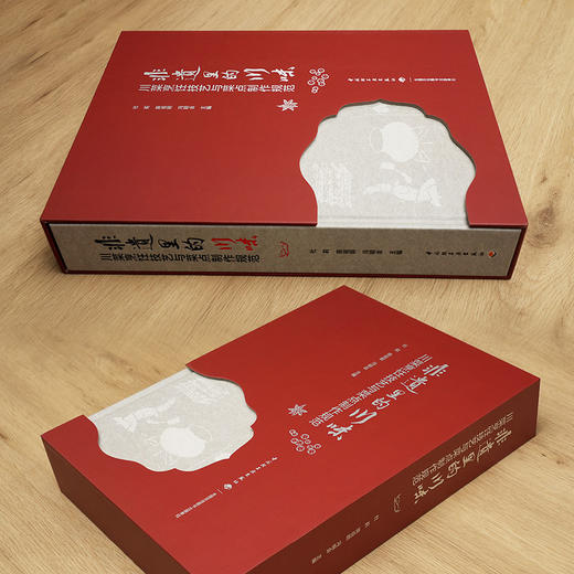 非遗里的川味：川菜烹饪技艺与菜点制作规范 商品图4