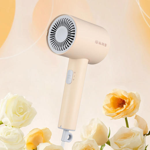 尚朋堂 电吹风800W SPT-CF800-K30 商品图3