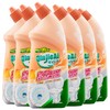 芊洁净 洁厕剂 （白桃味/柠檬味）700ml*6 6973025870993-6 商品缩略图1