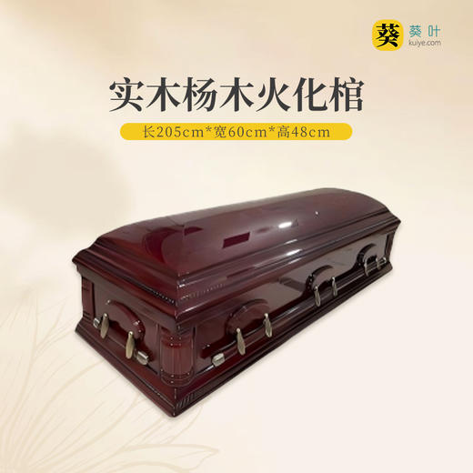 实木火化棺“千里送别”杨木火化棺 商品图1