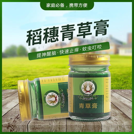 稻穗 青草膏50g（广东生产）数量：1 DSJH-3 商品图4