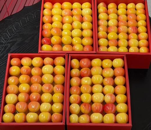 【BF】特级黄樱桃 /500g 商品图1