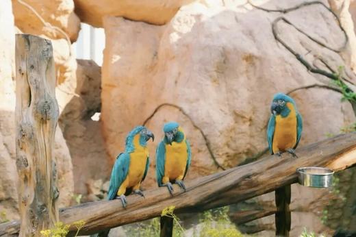 周末不加价 · 缙云锦江国际大酒店×豪华房套餐丨丽水 商品图1