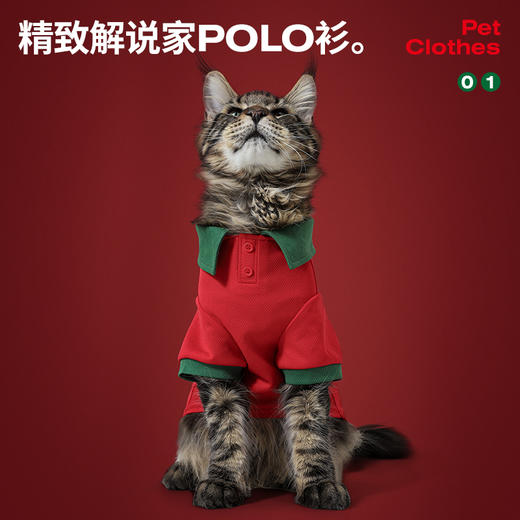 【官方正版】葡萄牙国家队 | 宠物POLO衫背心连帽卫衣实用周边 商品图1