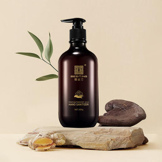BESITING碧丝汀 高定香氛洗手液500ml 6976409160055 商品图3