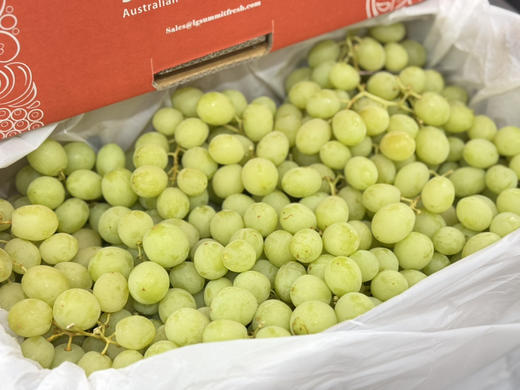 澳洲空运秋天酥青提（散称23.8/斤称重补差） 商品图1