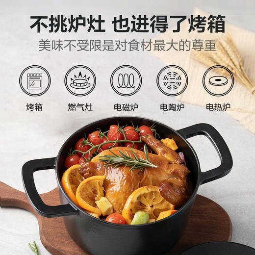 菲仕乐 Moments食光铸铁锅炖煲小汤锅家用慢炖锅黑金色 商品图3