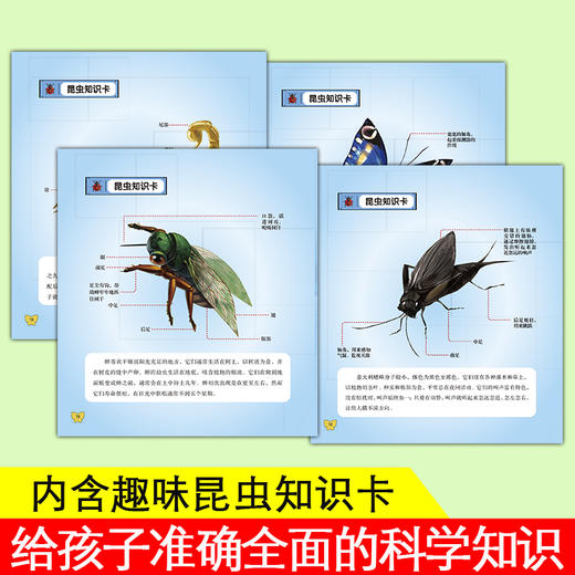 《法布尔昆虫记美绘本》全12册 商品图4