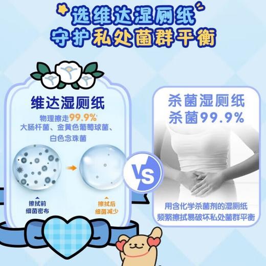 Vinda维达 便携装湿厕纸10片 vwsc10p0-1 商品图3