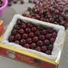 周一取货：【蔚林3J美早樱桃】净重1.4-1.5斤左右/箱，大连产地直飞 商品缩略图2