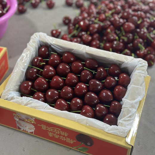 周一取货：【蔚林3J美早樱桃】净重1.4-1.5斤左右/箱，大连产地直飞 商品图2