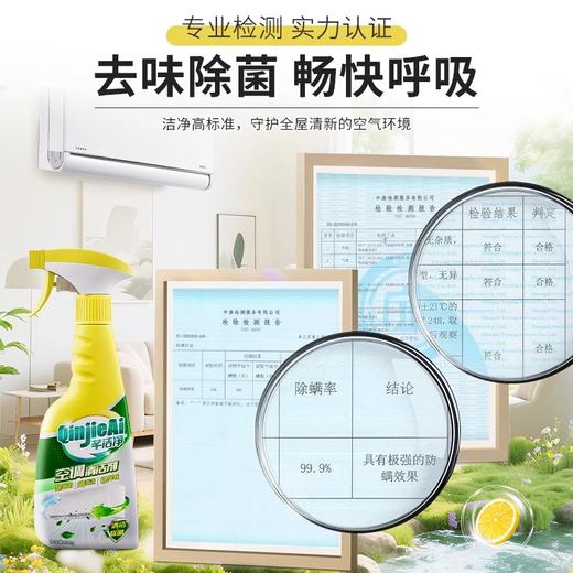 芊洁净 空调清洁剂（3瓶装+1泵头）500ml*3 6973025871020-3 商品图3