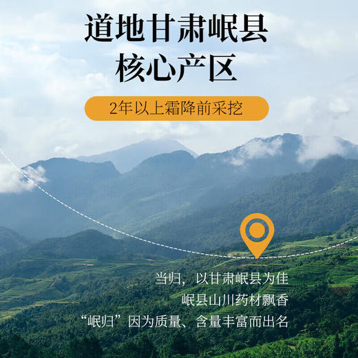 神农金康 当归芯片200g 当归头纯中心片正宗甘肃岷县养生茶 商品图4