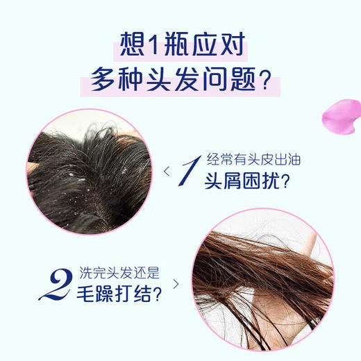 飘柔 家庭护理兰花长效洁顺水润洗发露170g*1瓶 pg-1pcxjs 商品图3