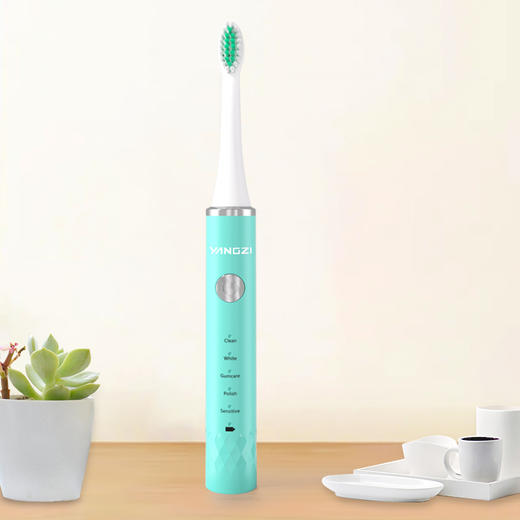 扬子 电动牙刷（充电款）蓝色产品功率：1W DFC-001 商品图2