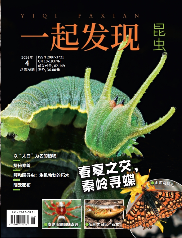 2026年《一起发现》全年订阅和单期购买