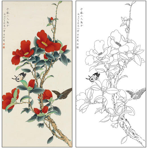 工笔画白描底稿于非闇花鸟《茶花》临摹勾线高清打印稿FA64 商品图0
