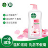 滴露 沐浴露滋润倍护950g 22205020443 商品缩略图2