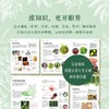 DK草药大百科 从全球视野出发，看见传统之外的本草新知 商品缩略图3
