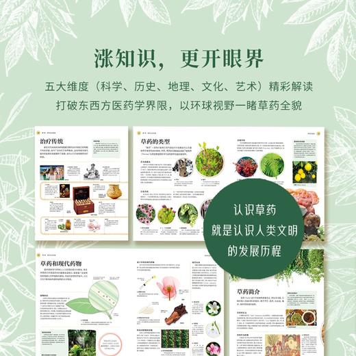 DK草药大百科 从全球视野出发，看见传统之外的本草新知 商品图3