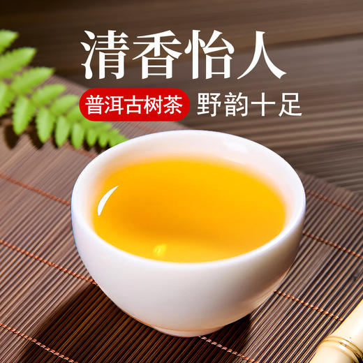 吉顺号2026年春茶野芳踪布朗南温古树茶250克/罐 商品图2