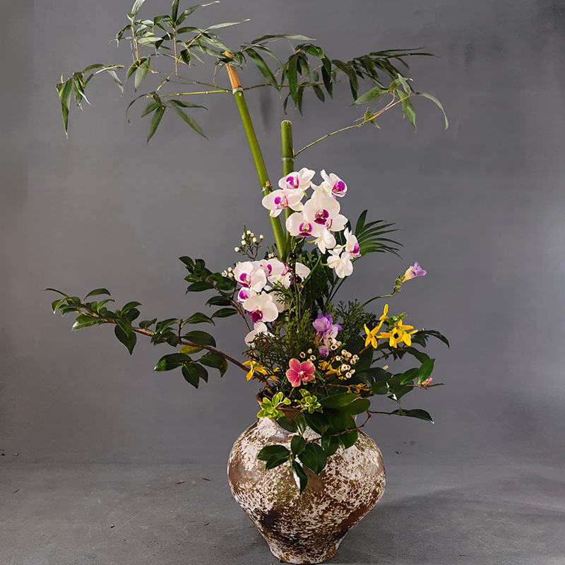 桃溪花韵  ·  插花怀古雅集