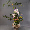 红楼花事 商品缩略图0