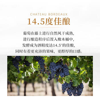 圣芝（suamgy）G320特级珍藏赤霞珠干红葡萄酒750ml*2支礼盒装节日礼品 进口红酒 商品图2