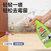 【DDOXXO 深层清洁除霉剂】一瓶600G，超大容量，除霉率＞99%，根源除霉，渗透瓦解霉菌，温和配方，墙体 木材 卫生间 厨房等都可使用 商品缩略图3
