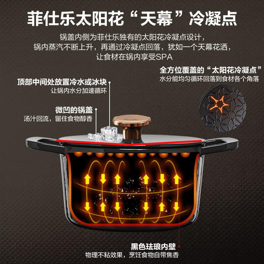 菲仕乐 Moments食光铸铁锅炖煲小汤锅家用慢炖锅黑金色 商品图4