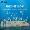 华畜复合芽孢杆菌500g  免红糖复合菌种净水调水 水产专用 商品缩略图3