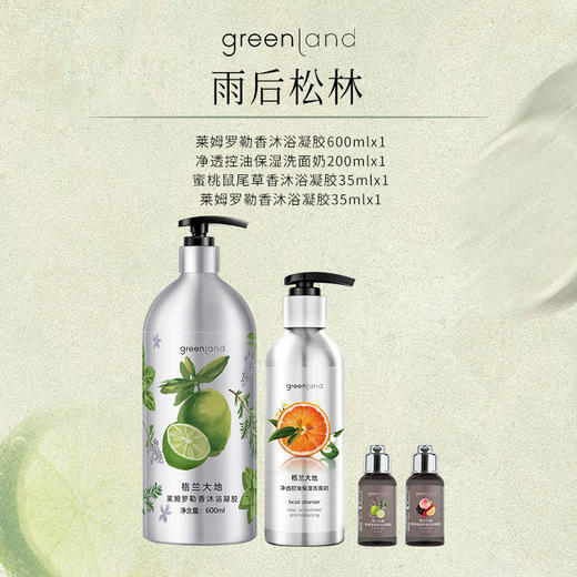格兰大地 雨后松林洗面奶200ml+沐浴凝胶600ml+沐浴凝胶35ml*2 GLDD261 商品图2