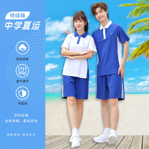 青之树【特级版】 瞬间凉感 抑菌透气 中学夏装运动服   51深圳校服 商品图0