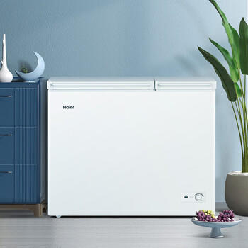 海尔（Haier）213升双温一级能效双箱双温家用冰柜 大冷冻小冷藏卧式冰柜家用小型冰箱冷柜FCD-213GHXPD 商品图3