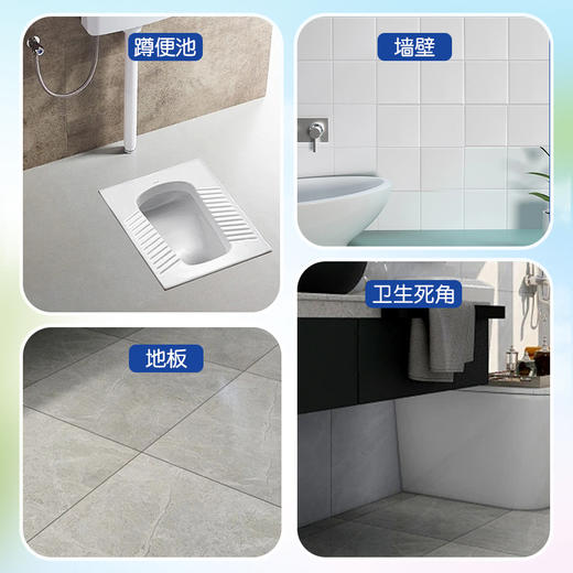 蓝漂 洁厕剂500g*5瓶装 6922454372233-2 商品图1