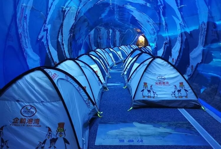 5.2-3【双流.浩海立方海洋馆夜宿营】畅游海洋馆，学习丰富海洋知识，近距离观察行为习性，亲手喂食，在海底支起帐篷，感受波音737客机的模拟机飞行体验，滑冰体验