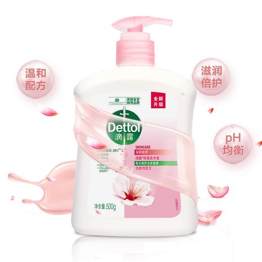 滴露 洗手液滋润倍护500g+500g 22502078765 商品图0