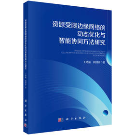 资源受限边缘网络的动态优化与智能协同方法研究
