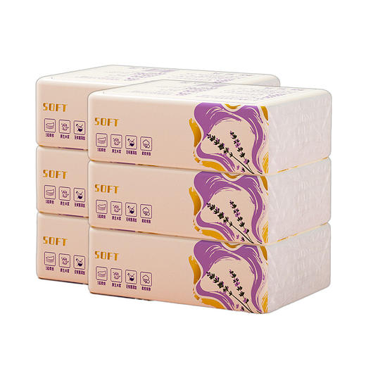 蓝漂 幽兰系列抽纸306张2提装 6922454360155-2 商品图0