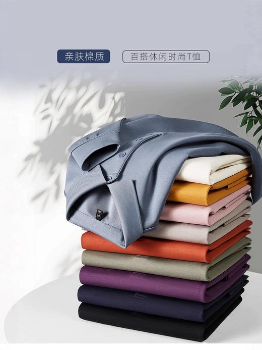 派森龙春秋长袖翻领男士POLO衫纯色保暖男T恤打底衫 商品图2