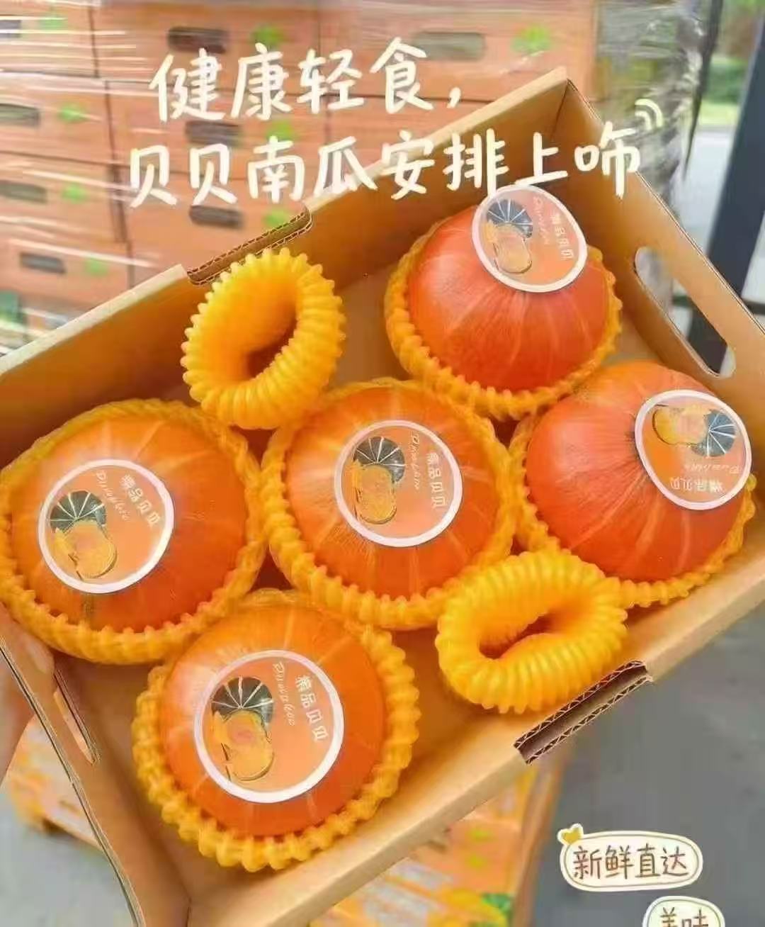 周三取货：【黄金贝贝南瓜】一箱3斤左右（5-6头）板栗口感，香甜粉糯。