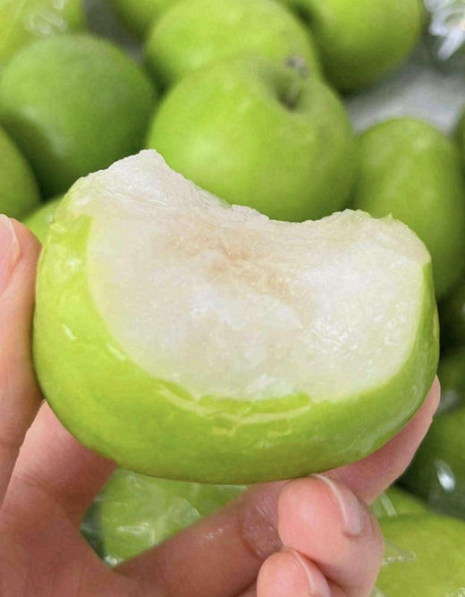 苹果枣（散称12.8/斤称重补差） 商品图0