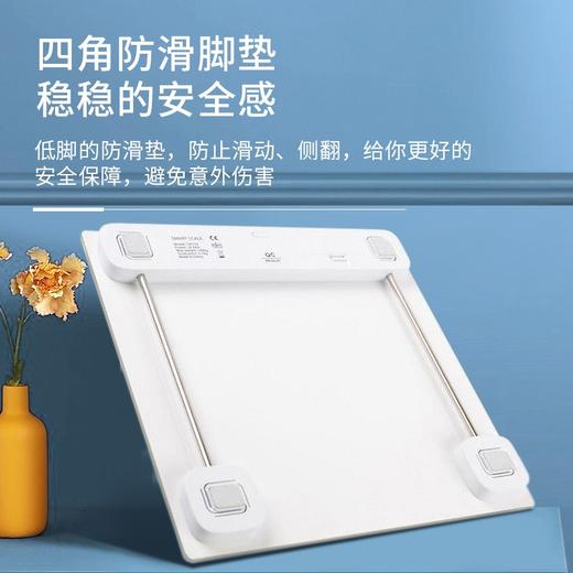 Midea美的 体重秤（干电池） MO-CW5 商品图2