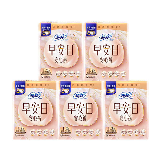 苏菲 早安日安心裤L码2条*5包 SFOALJ2T5B 商品图0
