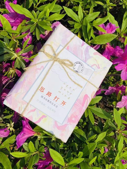 【赠送定制卡片】“大学问”盲盒  图书市集限定盲盒 广西师范大学出版社 单本装 商品图5