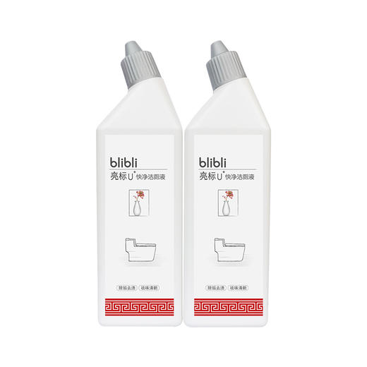 亮标 快净洁厕液500gx2 8950 商品图0